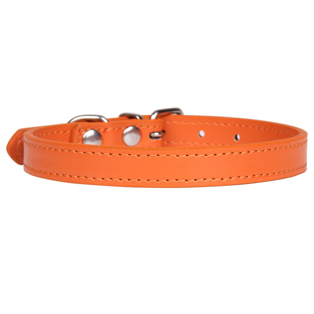 Dog leash and collar set wire buckle detail
