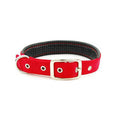 Padded double-layer webbing dog collar with strong metal buckle