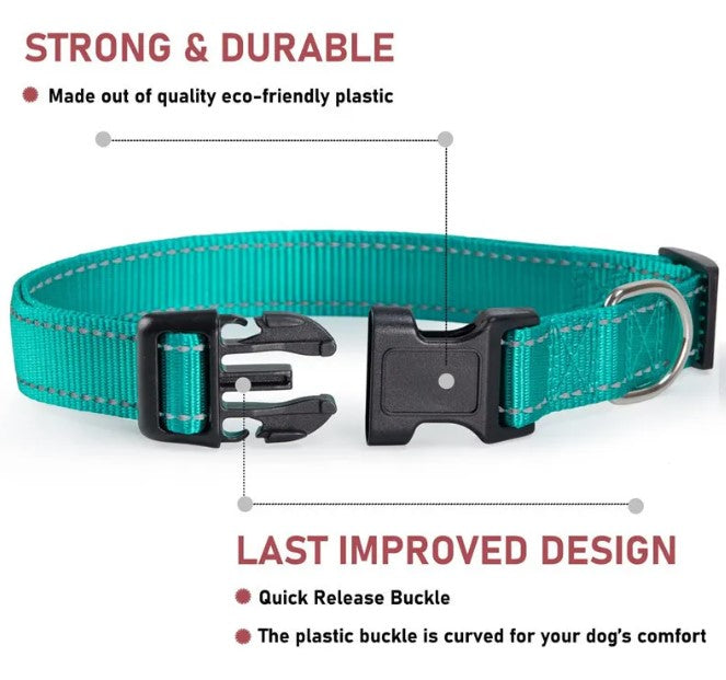 Chest strap collar colour options red blue green black