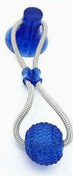 Dog using treasure hunt puzzle slow feeder box