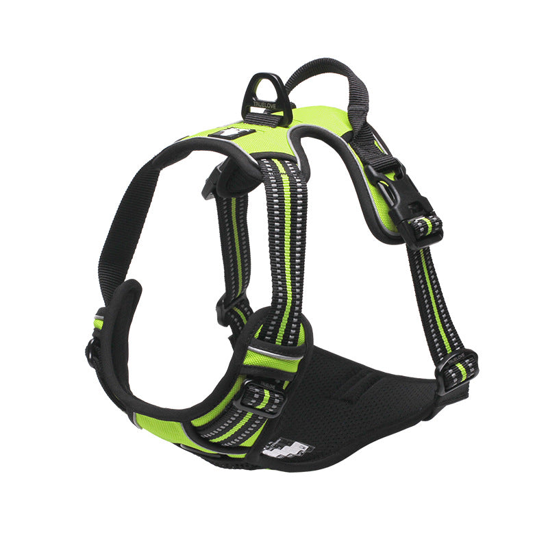 Large dog wearing padded protection harness