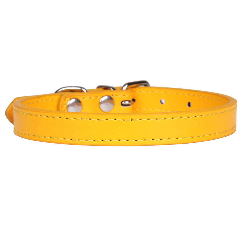 Large Dog Leash and Pet Collar Set