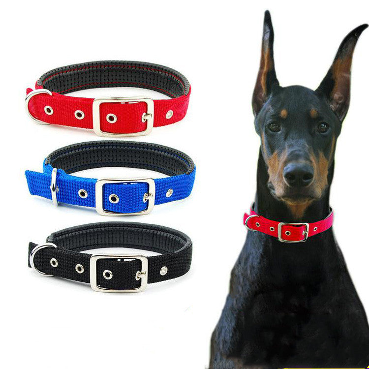 Large dog wearing padded webbing collar