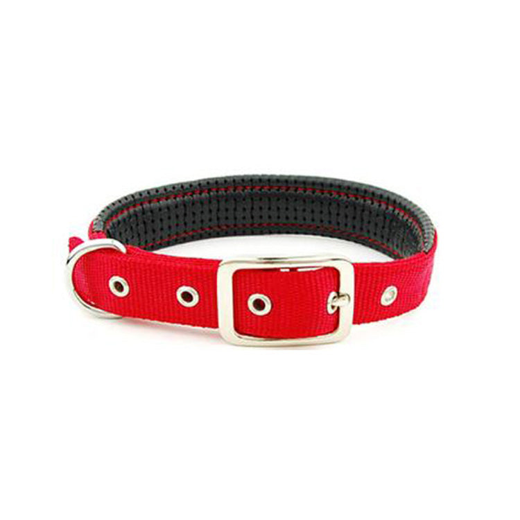 Padded webbing dog collar foam cushion detail