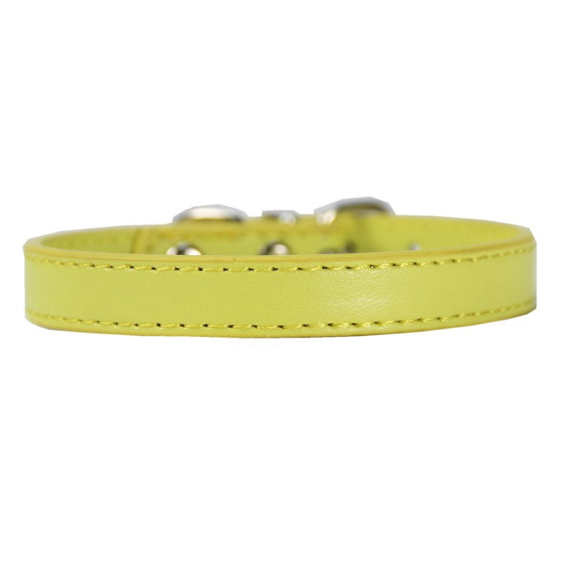 Large Dog Leash and Pet Collar Set