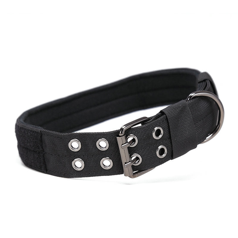 Medium and Large Dog Collar - Adjustable and Durable